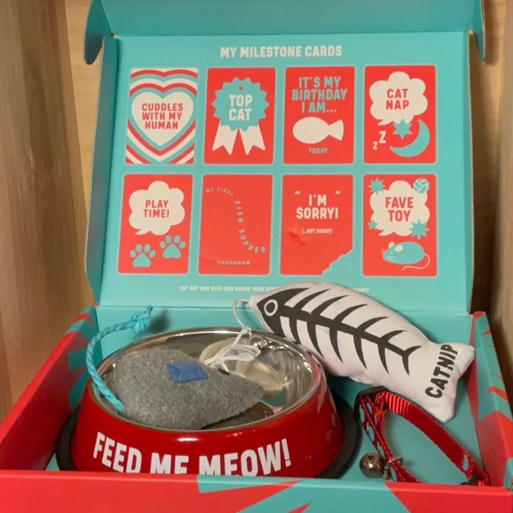 EAT SLEEP PURR REPEAT-new cat starter kit-“FEED ME MEOW” bowl, collar, 2 toys